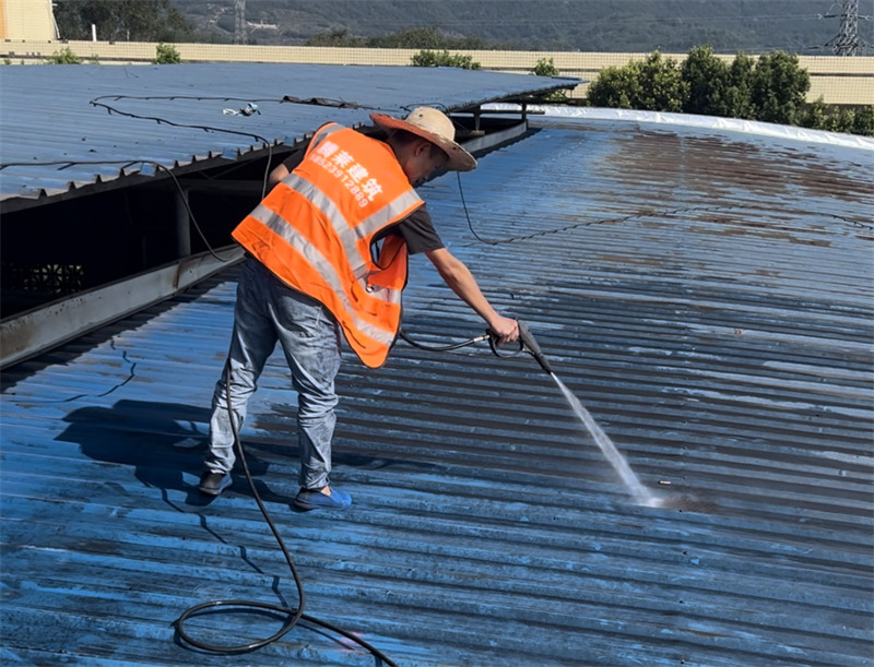 ���������������P�F������